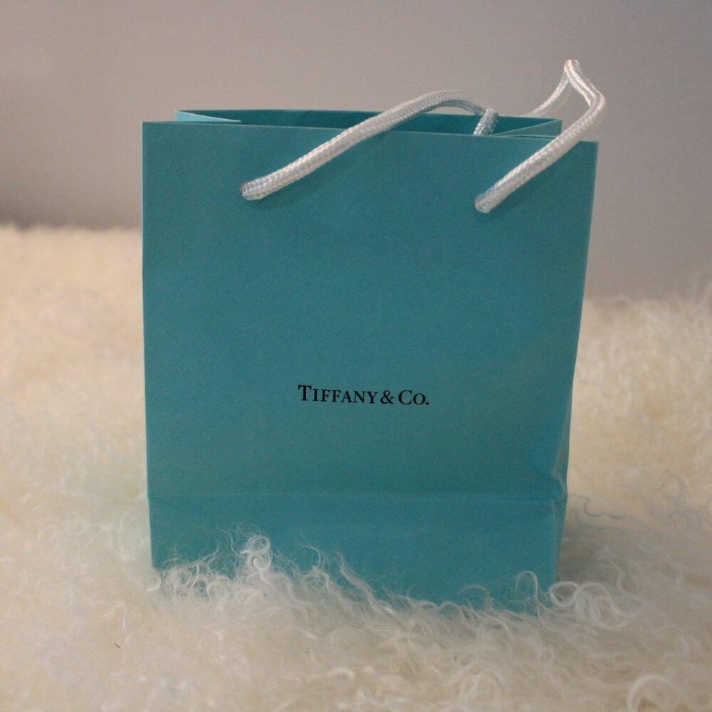 Tiffany & Co Necklace